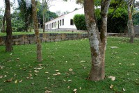 /album/passeio-%c3%a0-areia-pb/a7990-395774760466227-147402445-n-jpg/