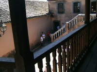 /album/passeio-%c3%a0-areia-pb/a196085-395777023799334-1721258259-n-jpg/