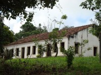 /album/passeio-%c3%a0-areia-pb/a9708-395775570466146-325564774-n-jpg/