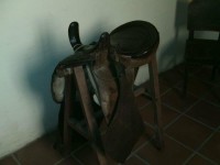 /album/passeio-%c3%a0-areia-pb/a554685-395777497132620-1332664947-n-jpg/