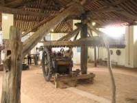 /album/passeio-%c3%a0-areia-pb/a543671-395774787132891-1552824283-n-jpg/